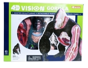 4d Master Vision Anatomi Modeli - Goril Bilim Setleri