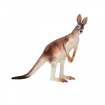 Vahşi Hayvanlar - Kanguru