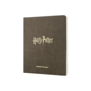 Harry Potter Planlayıcı Zaman Planlayıcılar