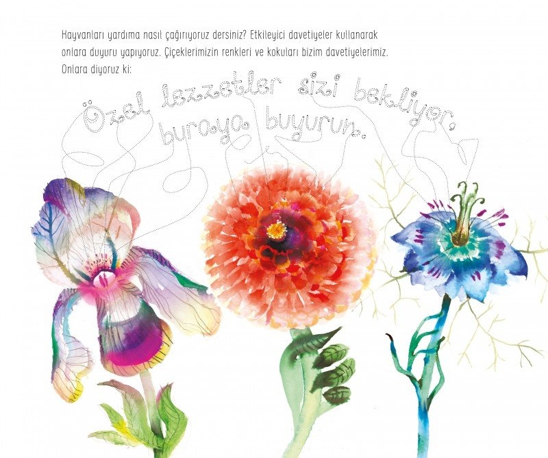 Çiçek Dilinde - Bitkiler Renkleriyle Ne Anlatır?