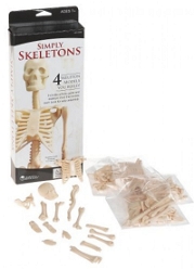 Basit İskelet Modeli - Simply Skeletons LER3333 Bilim Setleri