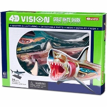 4d Master Vision Anatomi Modeli - Büyük Beyaz Köpek Balığı