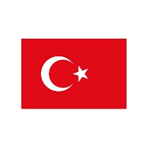 Platin A5 Türk Bayrağı Çıkartması 10'lu