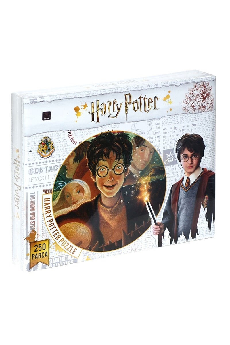 Puzzle Harry Potter 250 Parça Hp7565