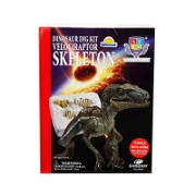 Dinozor Kazma Kiti Velociraptor İskeleti Science (Fen), Technology (Teknoloji), Engineering (Mühendislik) ve Mathematics (Matematik)
